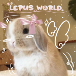 lepusworld