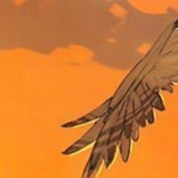 🕊️