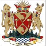 FURRY EPIC COOL SUPER ULTRA GROUP