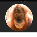 MonkE. Is. God