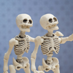 The Skeleton pride