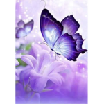 ~Exotic Butterflies~