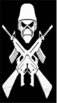 Elite Weapons Group