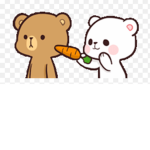 The aesthetic bear twins