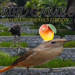 Bird Game 3