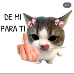 Stacy Games Grupo oficial