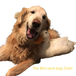 Epik Bird (and dog) Club