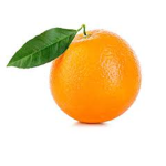 Oranges are nice12