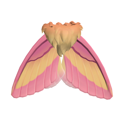 Pastel Moth Wings Pink