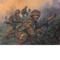 The Falklands War