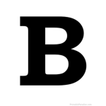 Is the best ye