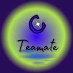 Caty Team