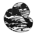 Painted Duck