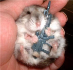 H.A.M.S.T.E.R     S.N.I.P.E.R.S