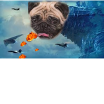 JOIN IF U LOVE DOGS!