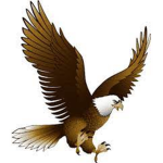 Hawks Squad gaming