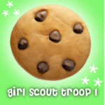 Girl Scout Troop |