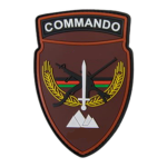 [ DRA - 38th ] 38th Commando Brigade