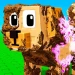 Clean a Pet icon