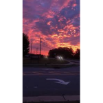 -*Aurora*-