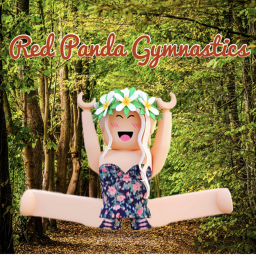 Red Panda Gymnastics Gymnasium