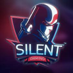 Silent Gaming's Fan Group