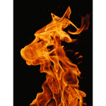 JMFire Studios