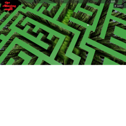 The amazing maze