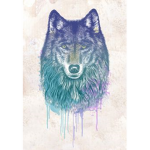 .*Wolf Club*.