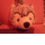 I LOVE WOLFS AND COOKIES