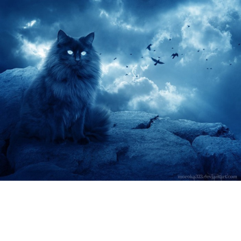 The 1000 roblox visits badge is now mine