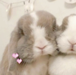 austin and kenz Group Thumbnail