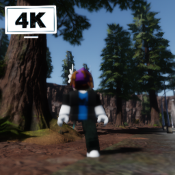 The old forest / Update