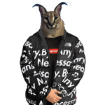 Dar robux para nada tina