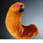 Mr. Parrot Jr Jr Jr Cheeto