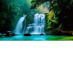 Waterfall School District