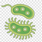 Illnesses Troll Group (ITG)