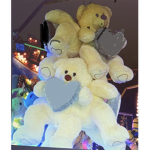 Teddia