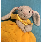 The Bunny Bunch HUMANS