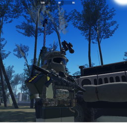 ENTRENAMIENTO MILITAR DE AGENTES