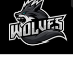 The Psycho Wolves
