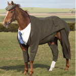 The Outlaster