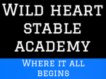 Wild heart stable academy
