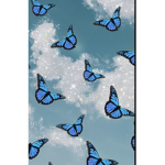 Butterfly Aesthetics’s