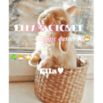 ~Ella’s closet