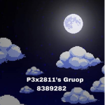 P3x2811’s Gruop