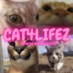 cats4lifez