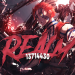 多Realm