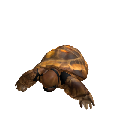 desert_tortoise