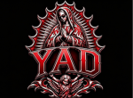 ( Y, A, D )